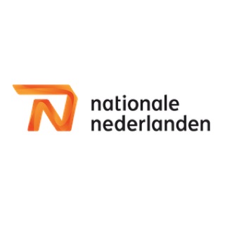 logo Nationale Nederlanden playmobieldj