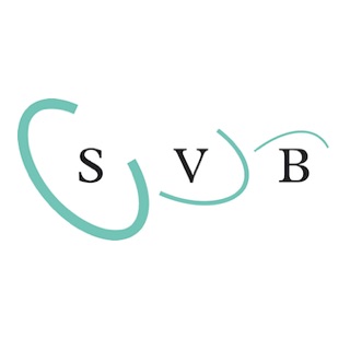 logo SVB playmobieldj