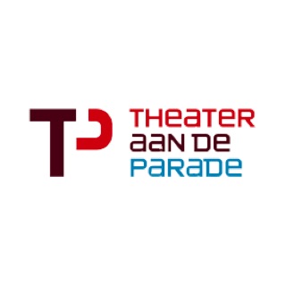 logo Theater aan de parade playmobieldj